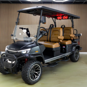 Dach 6 Passenger Golf Cart (4+2)